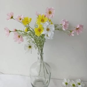 Artificial Princess Cosmos