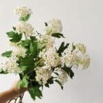 Artificial White Hydrangea