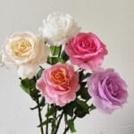 60CM Artificial Rose Flower