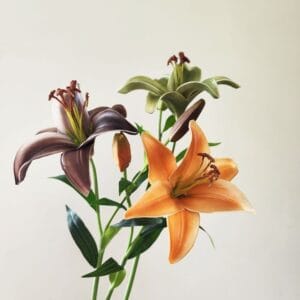 Artificial Lily Morandi Color