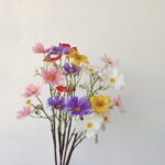 Artificial Cosmos Bipinnata