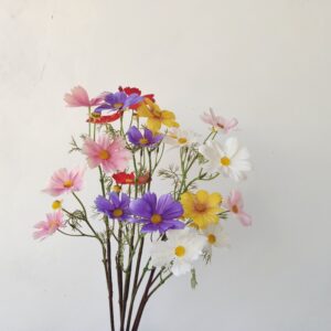 Artificial Cosmos Bipinnata