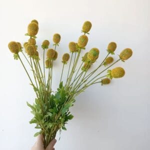 Artificial Green Berry