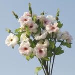 Butterfly Peony Artificial Flower