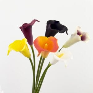 Artificial Calla Lily