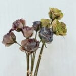 Artificial Dried Rose Bouquets
