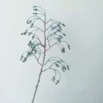 Artificial Plants Gourd Fruit