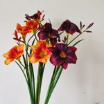 Daylily Artificial Flower Hemerocallis Fulva