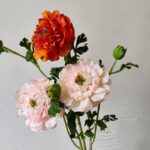 Artificial PersianButtercup Flowers