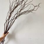 Artificial Dried Willow Branches